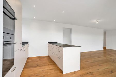 Attika-Wohnung mit grosser Terrasse und Weitsicht - Photo 3