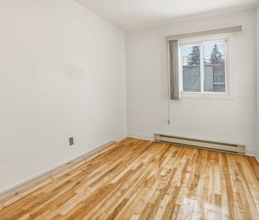 7336 8e Avenue, H2A 3C9, H2A 3C9, Montréal - Photo 6