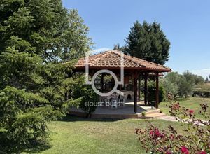 Μονοκατοικία για ενοικίαση - Μυγδονία, - Photo 2