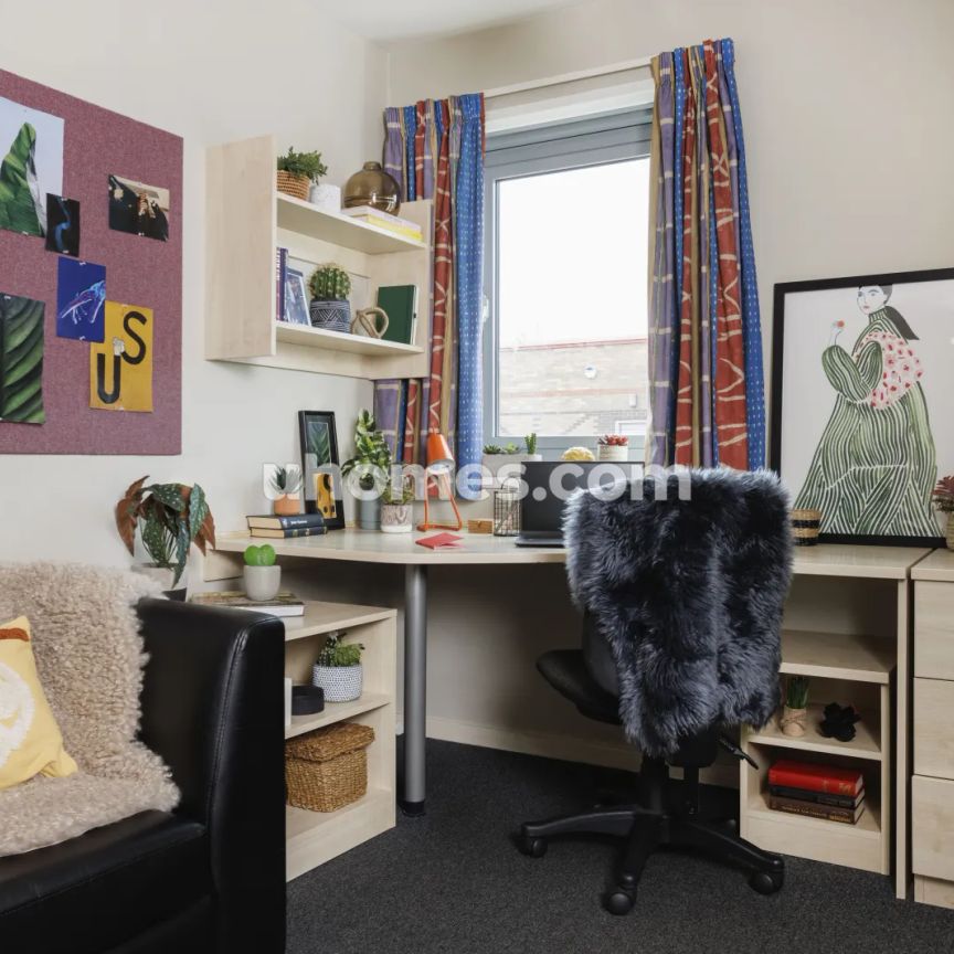 Extra Large Studio - Photo 1