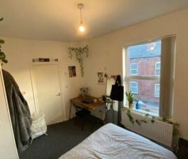 12 Harold Place, Leeds, LS6 1PQ - Photo 3