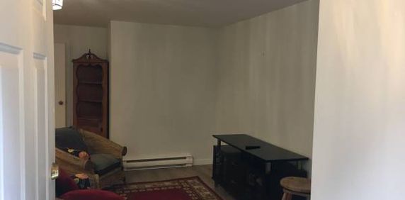 Fully Furnished 1-Bedroom Basement Suite for Rent - Photo 2