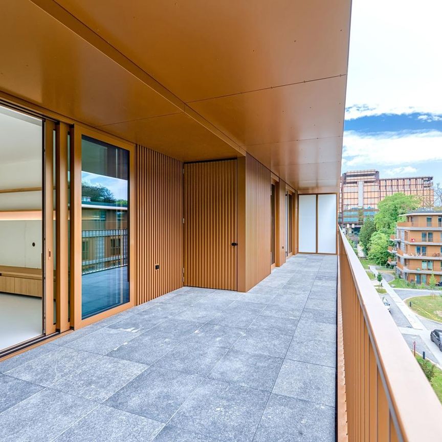 Penthouse d'exception 2 ch avec terrasse panoramique - Foto 1