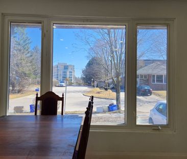 For Lease - 235 Penn Avenue, Newmarket, Ontario - Photo 3