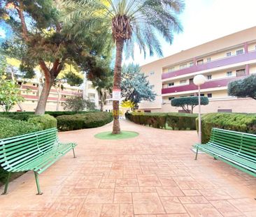 1 BEDROOM APARTMENT FOR RENT - MIL PALMERAS - Photo 5