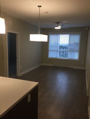 PARALLEL ONE APTS - 404 - P1-404 - Photo 1