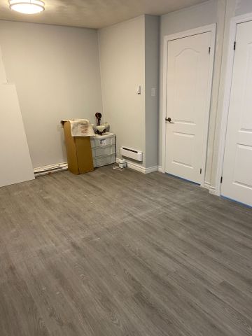 For Lease - 306 Darling Street Unit# Lower, Brantford, Ontario - Photo 4