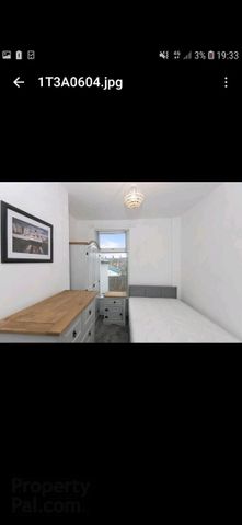 Room 2 43 Candahar Street, Ormeau Road, BT73AR, Belfast - Photo 4