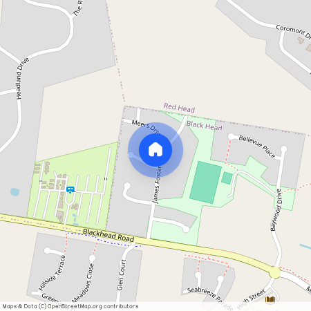 16 James Foster Drive, NSW 2430, Hallidays Point