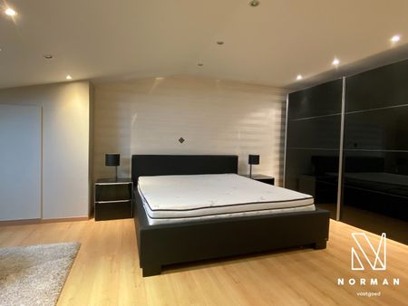 Duplex te huur in Bavikhove - Photo 5
