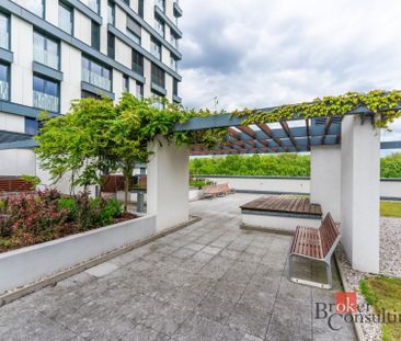 Apartment for rent, 1+KK - Studio, 39m - Photo 4