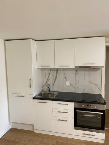 Gemütliches Studio in Fehraltdorf - renoviert und perfekt für Singles oder Paare! - Photo 3