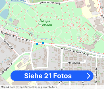 Kernsanierte 2-Raumwohnung direkt am Rosarium!Fahrstuhl, Balkon und... - Foto 1