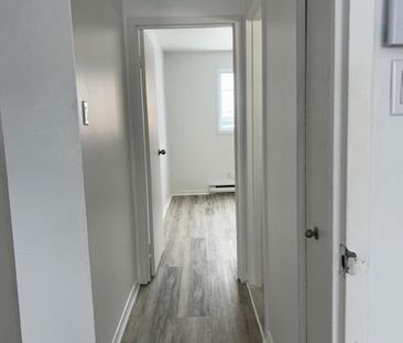 Appartement à louer à partir du 1er août – 4 ½ - 4 1/2 apartment to... - Photo 3