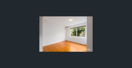 Refined Urban Living in the Heart of Red Hill - Photo 4