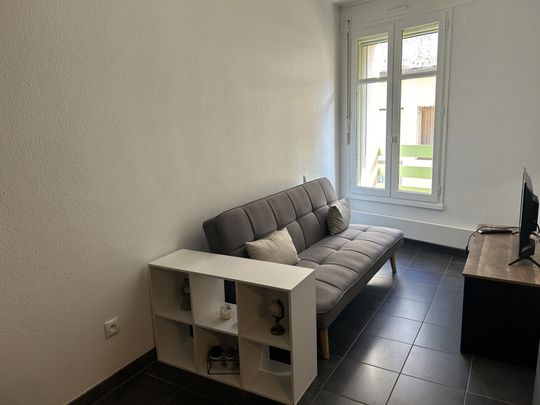 Location Appartement 1 pièce 29m² AGEN 47000 - Photo 1