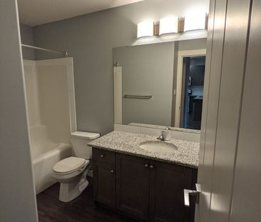 Two Bedroom, Two Bathroom - Photo 4