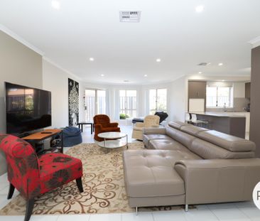 48 Cultivation Street, Harrison ACT 2914 - House For Rent | Domain - Photo 1