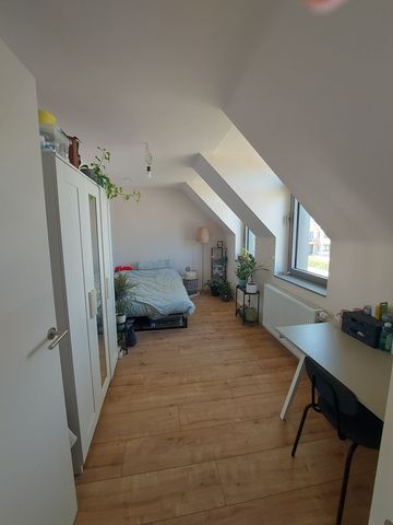 BAARDEGEM - Op zoek naar een derde huisgenoot (m/v/x) voor s - Foto 3