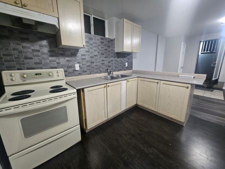 For Lease - 73 Morning Dew (Basement) Road, Toronto, Ontario - Photo 4