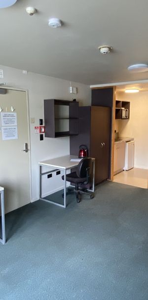 Studio Apartment in the Heart of Wellington! - Photo 1