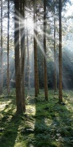 Ingatorpsvägen 1, Rumskulla - Photo 3