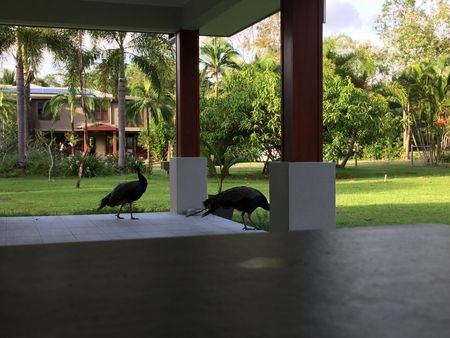 White Rock - Photo 3