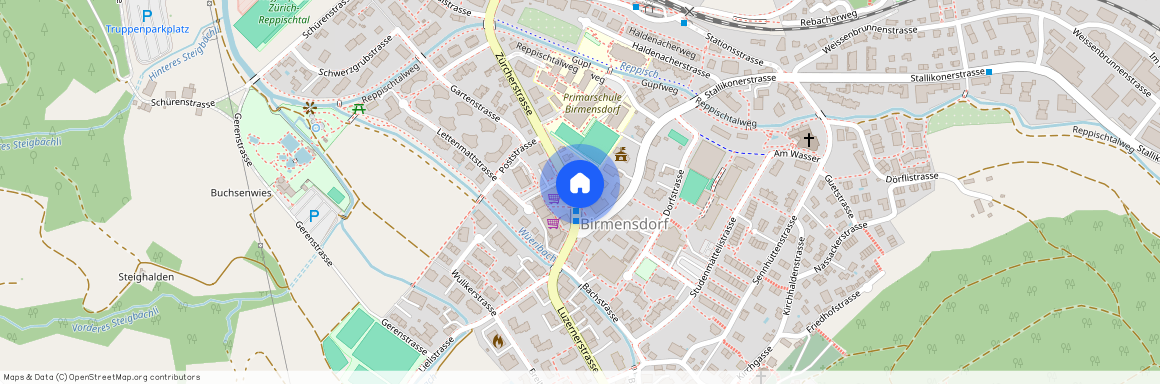 8903, Birmensdorf, Zürcherstrasse, 10