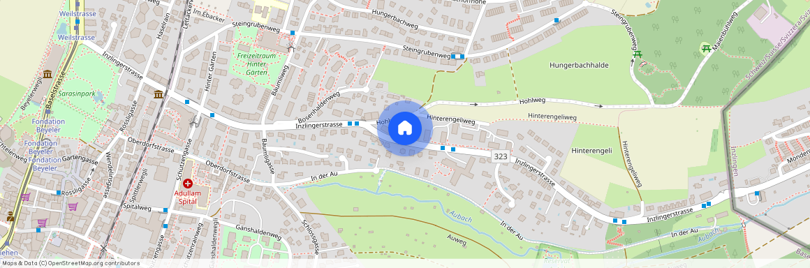 4125, Riehen, Hohlweg, 6