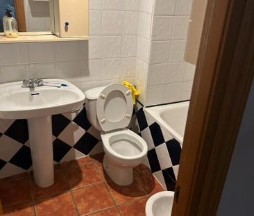 Apartamento de alquiler en Alfonso - Photo 5