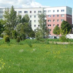 3-Raum-Wohnung Am Hohen Ufer 35 - Foto 4