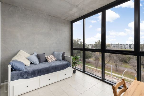 309/17 The Causeway, Kingston ACT 2604 - Studio For Rent | Domain - Photo 1