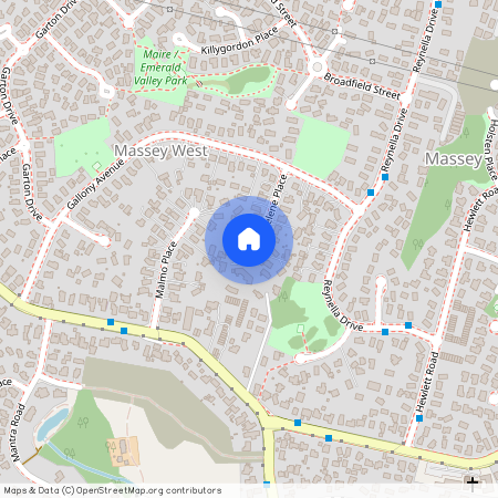 19 Raelene Place, Massey, Auckland