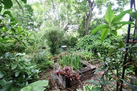 Beautifully presented heritage home in rainforest setting! - Photo 3