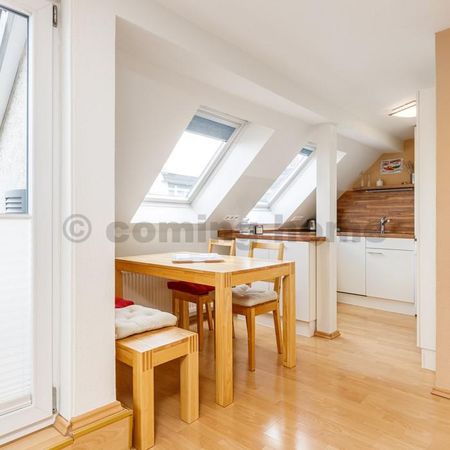 Perfect Single Living - Photo 3