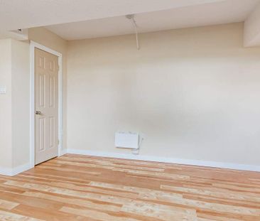 Renovated Suite - 1 Bedroom - Photo 1