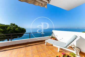 Flat for rent with Terrace in Port d’Alcúdia - Platja d'Alcúdia (Alcúdia)