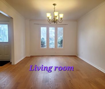 For Lease - 29 Worthington Avenue, Richmond Hill, Ontario - Photo 3