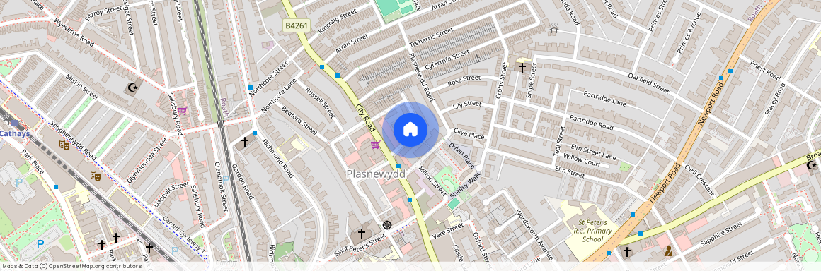 Talworth Street, CF24 3EH, Roath