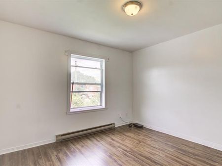 3227 Av. Hector - Photo 5