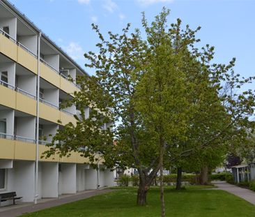 Jacobs Gränd 1 C - Photo 1