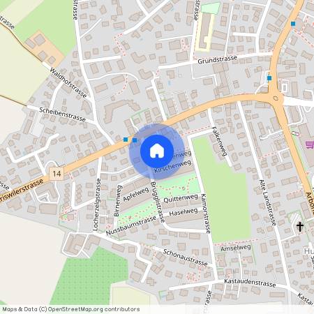 Mirabellenweg 2, 8590 Romanshorn