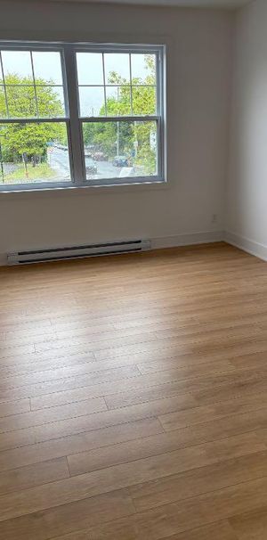 4-1/2 insonorisé libre maintenant chien accepté - Photo 1