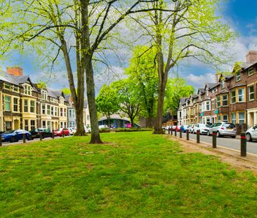 Llanbleddian Gardens, Cathays - Photo 6