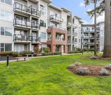 Beautiful North Facing Condo on the Top Floor - Photo 1