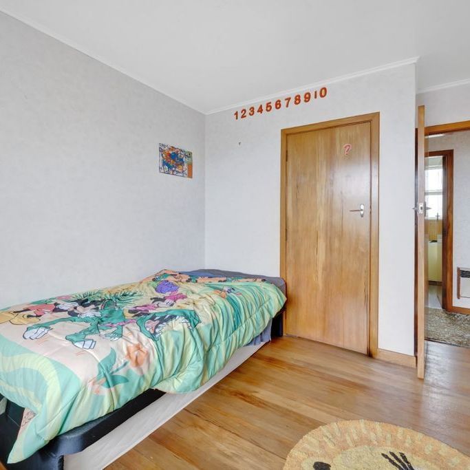 4 Murray Ave,Hawera - Photo 1