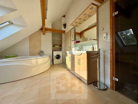 Pronájem bytu 3+kk 195 m², Sokolská, Velké Opatovice - Photo 1