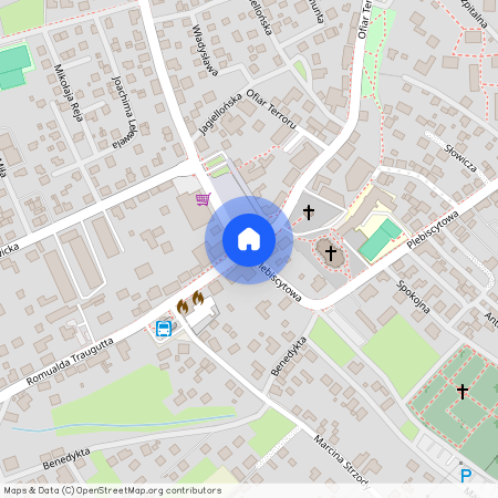 Rydułtowy, wodzisławski, śląskie