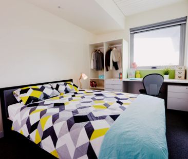 Studio Apartment - Photo 1