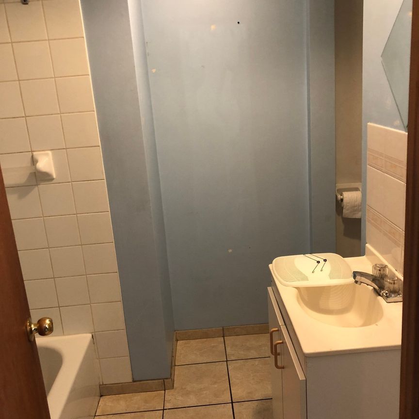 Condo for rent, Montréal (Le Plateau-Mont-Royal) - Photo 1